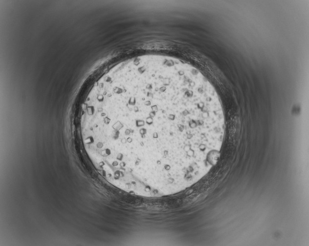 X0000116780727201001141511