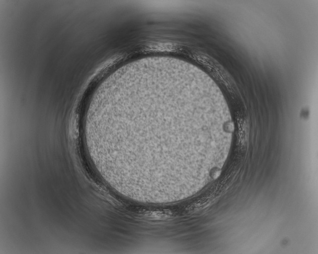 X0000116780731201001141511