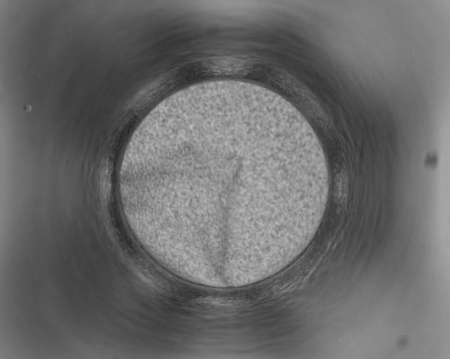 X0000116780733201001141511