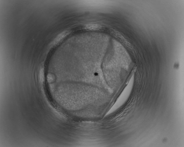 X0000116780734201001141511