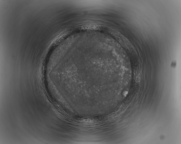 X0000116780735201001141511