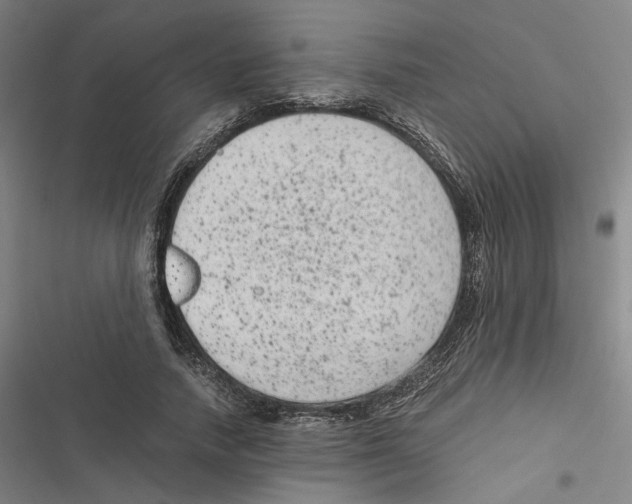 X0000116780738201001141511