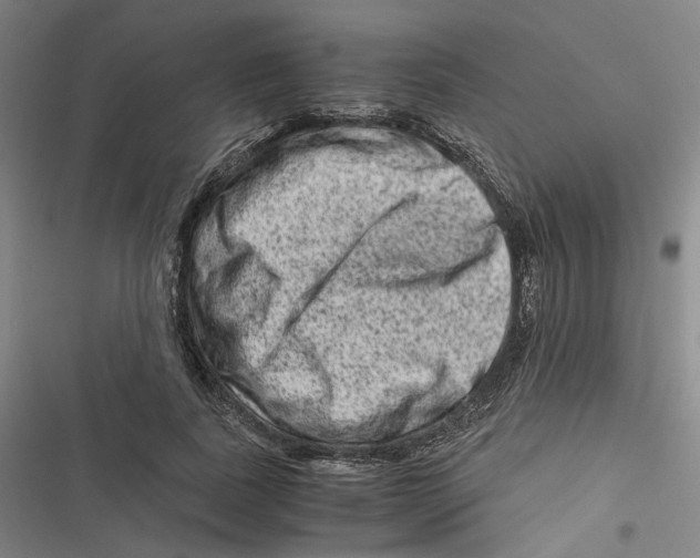 X0000116780739201001141511