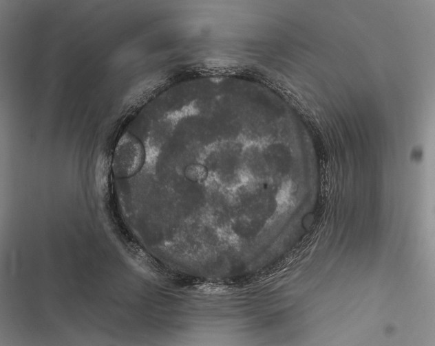 X0000116780742201001141511