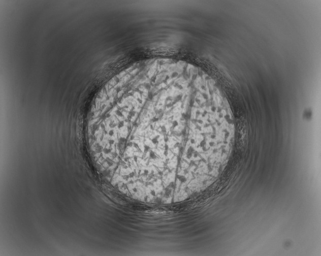 X0000116780745201001141511