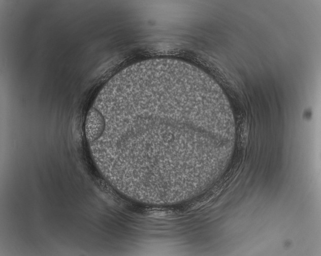 X0000116780746201001141511