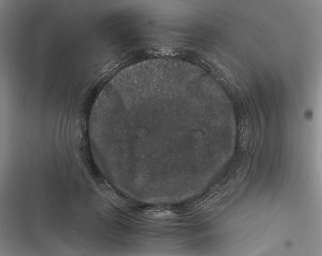 X0000116780747201001141511