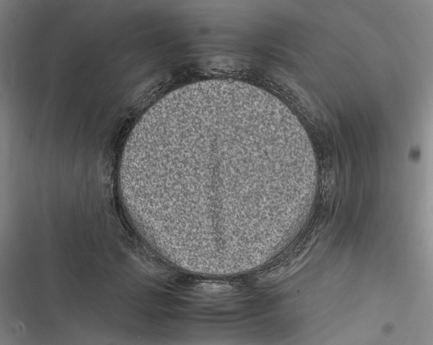 X0000116780749201001141511