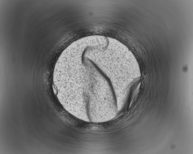 X0000116780750201001141511