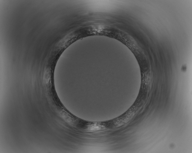 X0000116780754201001141511