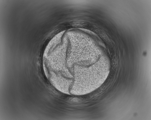 X0000116780755201001141511