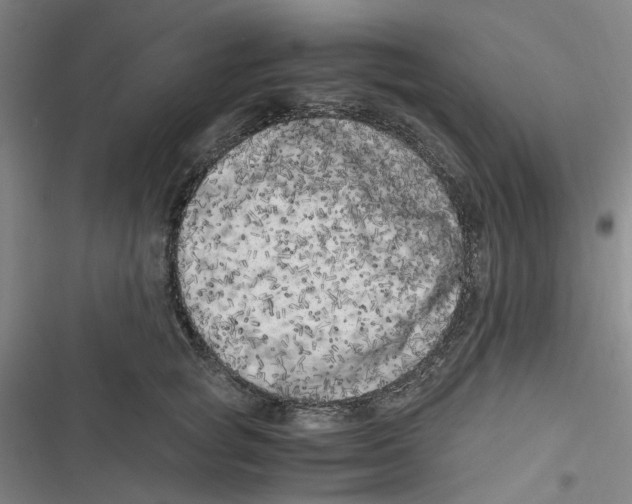X0000116780757201001141511