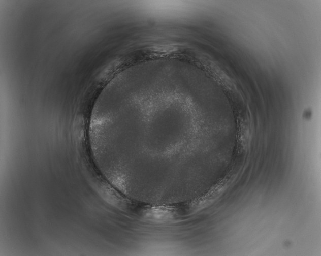 X0000116780758201001141511