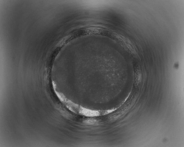 X0000116780759201001141511