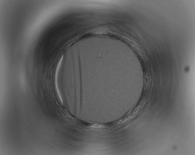 X0000116780762201001141511