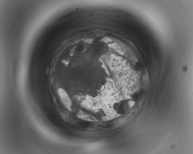 X0000116780765201001141511