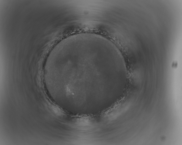 X0000116780769201001141511