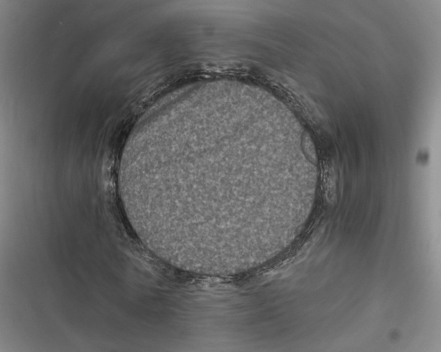 X0000116780770201001141511