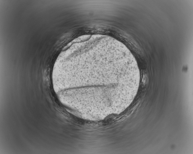 X0000116780771201001141511