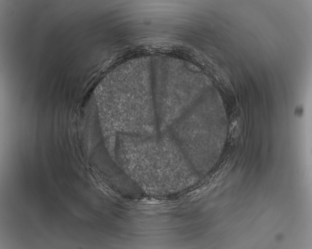 X0000116780772201001141511