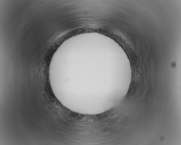 X0000116780773201001141511