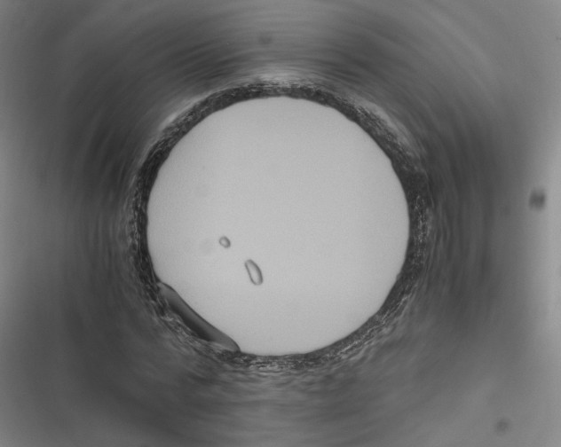 X0000116780776201001141511