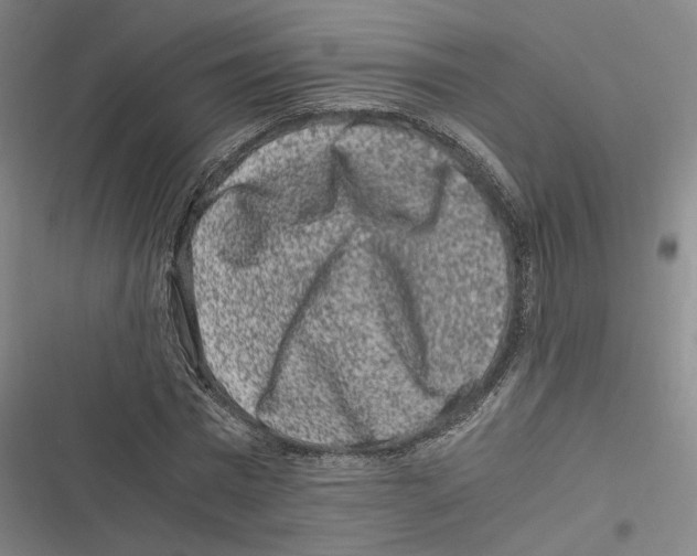 X0000116780777201001141511