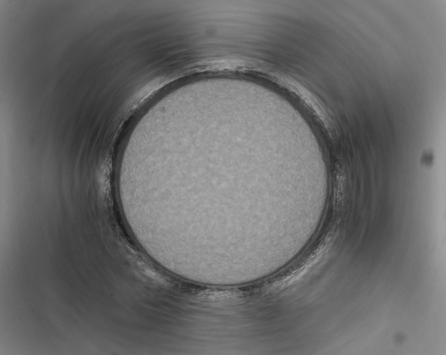 X0000116780778201001141511