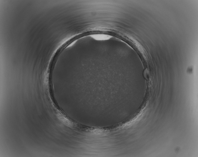 X0000116780779201001141511