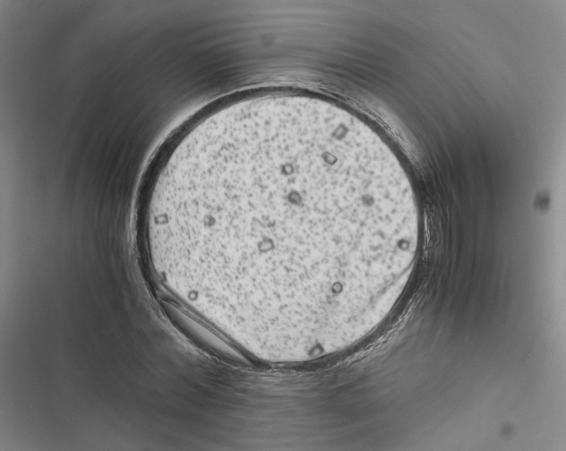 X0000116780780201001141511