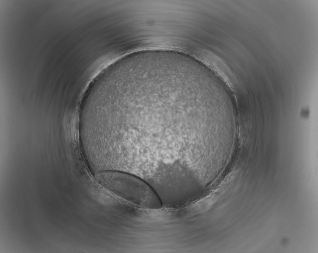 X0000116780781201001141511