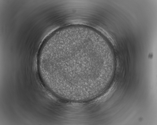 X0000116780782201001141511