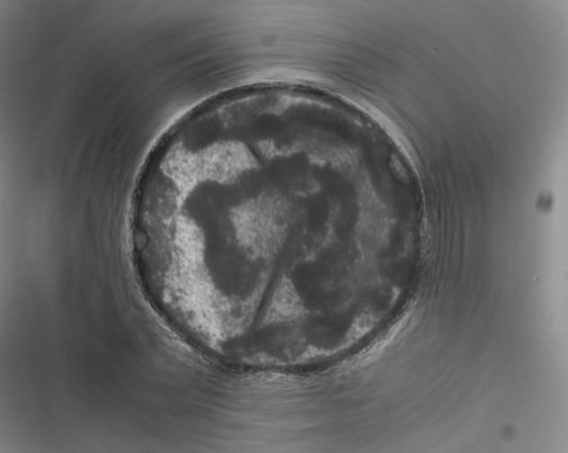 X0000116780783201001141511