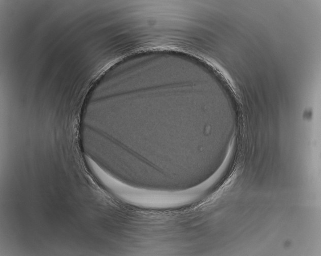 X0000116780785201001141511