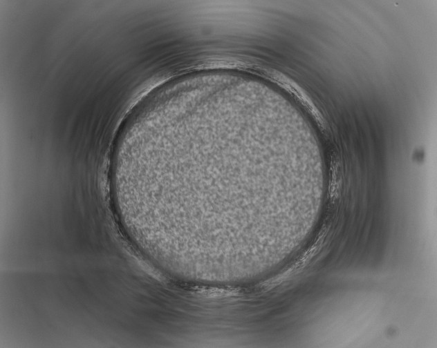 X0000116780786201001141511