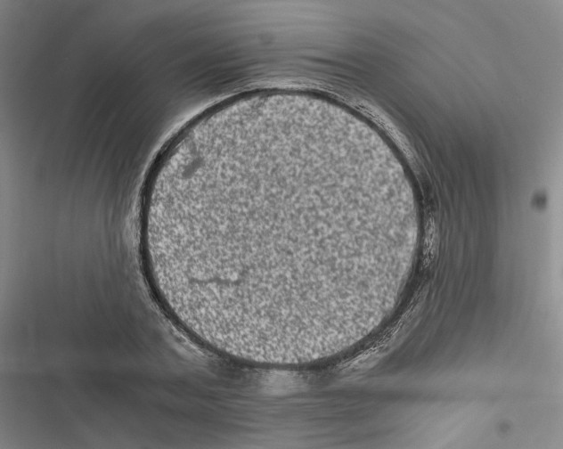 X0000116780787201001141511