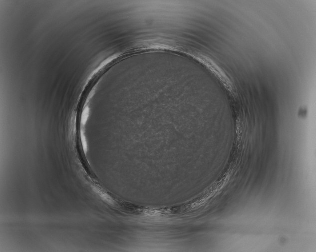 X0000116780790201001141510