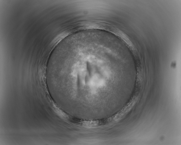 X0000116780793201001141510