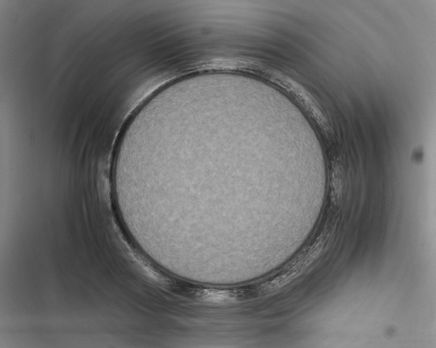 X0000116780794201001141510