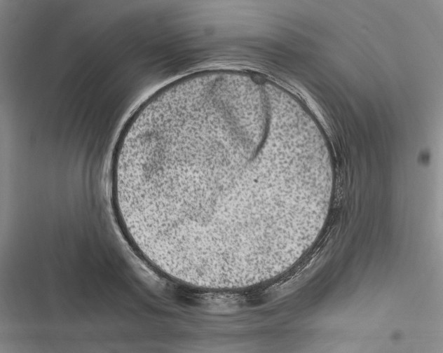 X0000116780795201001141510