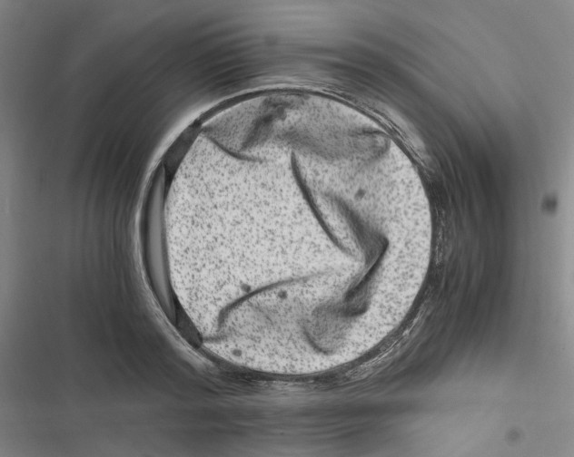 X0000116780796201001141510