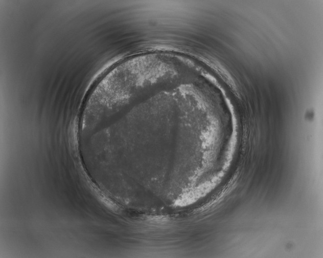 X0000116780798201001141510