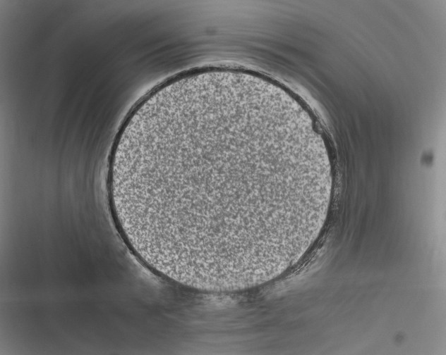 X0000116780799201001141510