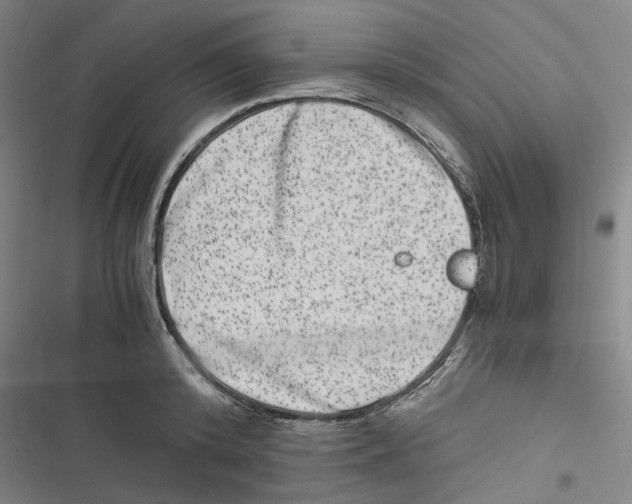 X0000116780800201001141510