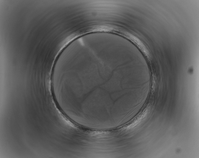 X0000116780802201001141510