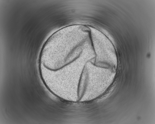 X0000116780803201001141510