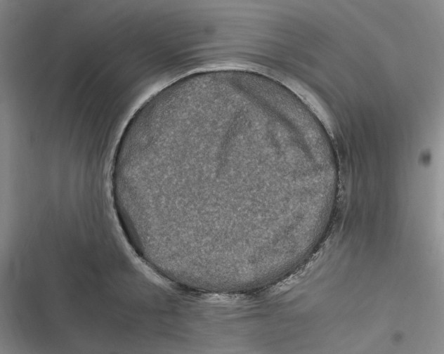 X0000116780805201001141510