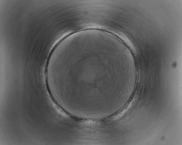 X0000116780806201001141510