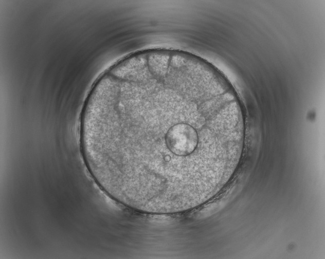 X0000116780807201001141510