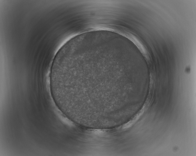 X0000116780814201001141510